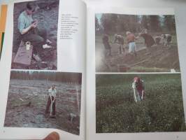 Työn ja taidon tiellä - 50 vuotta 4H-toimintaa