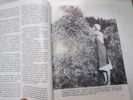 Työn ja taidon tiellä - 50 vuotta 4H-toimintaa