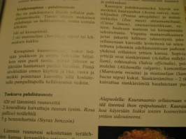 terveyttä ja kauneutta luonnonyrteillä