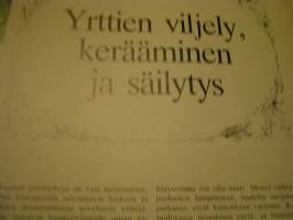 terveyttä ja kauneutta luonnonyrteillä