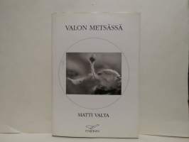 Valon metsässä