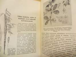 Kylvösiemenessä kulkeutuvat korsiviljojen tuhosienet ja niiden torjunta