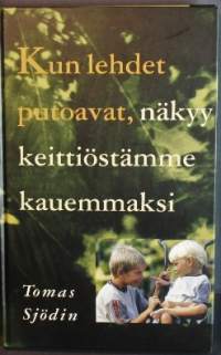 Kun lehdet putoavat, näkyy keittiöstämme kauemmaksi