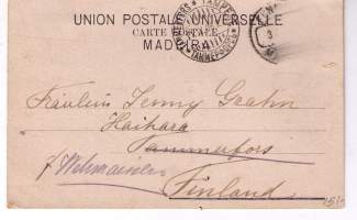 Postikortti. Todellakin  vanha  kortti  Madeiralta. Kulkenut 1906.    Postileima    hyvä, merkki  puuttuu.