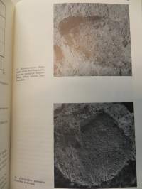 Betonin korjaus-ja paikkausohjeita 1966. Betonityöohjeita 1967. Talvibetonointiohjeita 1967