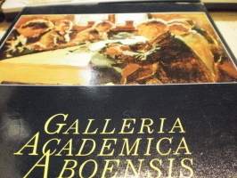 Galleria Academica Aboensis Åbo Akademis Konstsamling / Åbo Akademin taidekokoelma
