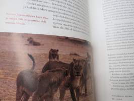 Saharasta etelään - Villieläinten Afrikka