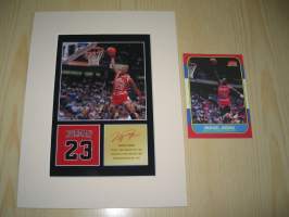 1986 Michael Jordan, Chicago Bulls NBA-kortin virallinen replika (tehty vuonna 1996) ja valokuva jossa nimikirjoitus painettu. Paspiksen koko 15 cm x 20 cm.