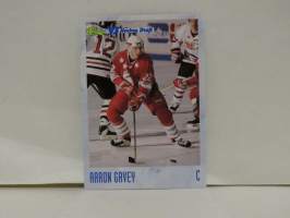 Classic ´93 Hockey Draft Aaron Gavey
