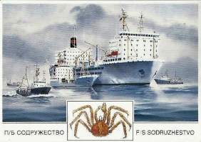 F S Sodruzhestvo - laivakortti, laivapostikortti kulkematon