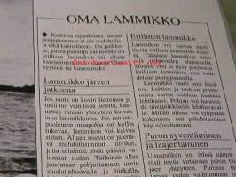 Rakennusmaailma  15 B  1986