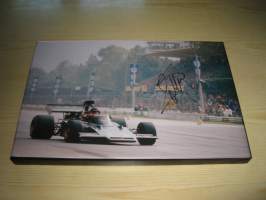 Emerson Fittibaldi, Formula F1, Indy, canvastaulu, koko 20 cm x 30 cm. Tehty 50 numeroitua kappaletta. Hieno esim. lahjaksi.