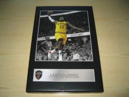LeBron James, Cleveland Cavaliers, NBA, canvastaulu, koko 20 cm x 30 cm. Tehty 50 numeroitua kappaletta. Hieno esim. lahjaksi.