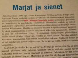 koti   elokuu  77