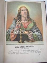 Jesu Lif