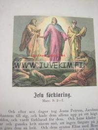 Jesu Lif