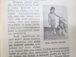 Senanan muurien sisäpuolella - Hanna Rhiem - Lähetyssaarnaaja Intiassa (senana = naisten &quot;huone&quot; muurien sisällä, asukkaina vain naisia)