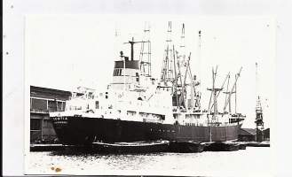 Scotia Liverpool  - laivavalokuva  valokuva 9x13 cm