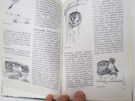 Lintujen pesäpöntöt ja suojelu - Taito + tieto -sarjaa