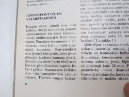 Lintujen pesäpöntöt ja suojelu - Taito + tieto -sarjaa