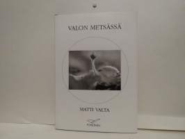 Valon metsässä