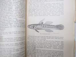 A Review of the Gobioid Fishes of Japan, with descriptions of 21 new species