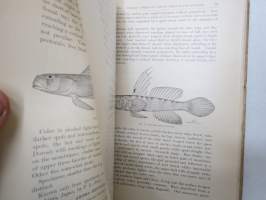 A Review of the Gobioid Fishes of Japan, with descriptions of 21 new species