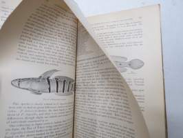 A Review of the Gobioid Fishes of Japan, with descriptions of 21 new species