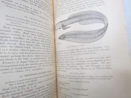 A Review of the Gobioid Fishes of Japan, with descriptions of 21 new species