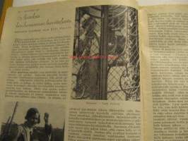 Kotiliesi 1933 nr 19 Lokakuu. Kansikuva Rudolf Koivu. Hatanpään siirtolapuutarha-alueesta koko aukeaman kuvasarja vuodelta 1933. Runsaasti mainoksia, muotia ja