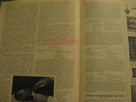 Kotiliesi 1933 nr 19 Lokakuu. Kansikuva Rudolf Koivu. Hatanpään siirtolapuutarha-alueesta koko aukeaman kuvasarja vuodelta 1933. Runsaasti mainoksia, muotia ja