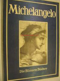 Michelangelo Die Blauen Bücher