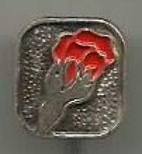 SDP 1985  - neulamerkki  rintamerkki