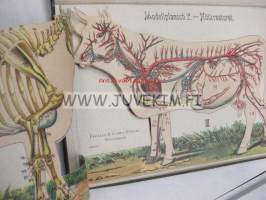 Handbook i husdjursskötsel