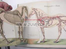 Handbook i husdjursskötsel