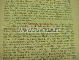 Der Aufkommen der Pulverwaffe