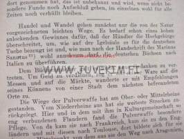 Der Aufkommen der Pulverwaffe