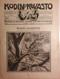 Kodin kuvasto -huviksi ja hyödyksi Suomen koteihin ja perheisiin. N:o 36 Syyskuun 3 p:nä 1916.