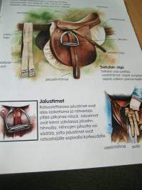 hevosia ja poneja.ei julistetta  vakitan tarjous helposti paketti. ..S ja  M KOKO   19x36 x60 cm paino 35kg  POSTIMAKSU  5e.