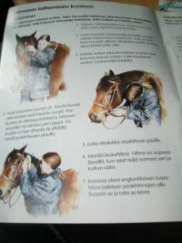 hevosia ja poneja.ei julistetta  vakitan tarjous helposti paketti. ..S ja  M KOKO   19x36 x60 cm paino 35kg  POSTIMAKSU  5e.