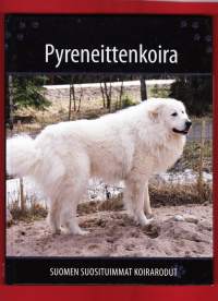Suomen Suosituimmat koirarodut - Pyreneittenkoira, 2007