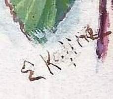 Elena Kojine,   Kukkia   alkuperäismaalaus, 20x13 cm kehystämätön sign E Kojine