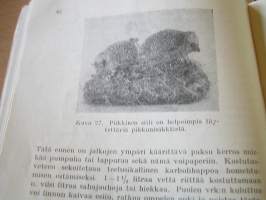 eläinten   täyttäminen .askarteluna ja taiteena.45 kuvaavakitan tarjous helposti paketti 19x36 x60 cm paino 35kg 5e