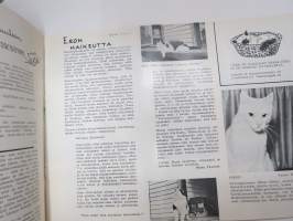 Kissa 1964 nr 1 - Kevätnumero, Helsingin Rotukissayhdistys ry