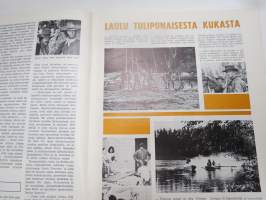 Kinolehti 1971 nr 7 elokuvalehti / movie magazine