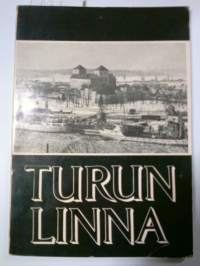 Turun linna