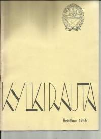 Kylkirauta 1956 Heinäkuu / Partiopoikaliike, Pääskylahden muisto, Tuntemattoman sotilaan uskottavuus