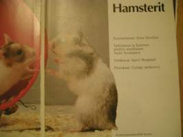 hamsterit ,vakitan tarjous helposti paketti 19x36 x60 cm paino 35kg 5e