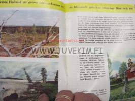 Keski-Suomi Mellersta Finland -matkailuesite ruotsiksi
