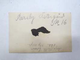 A.H.S. - 8 kk - 9 kg - Parsby Östergård -valokuva / photograph